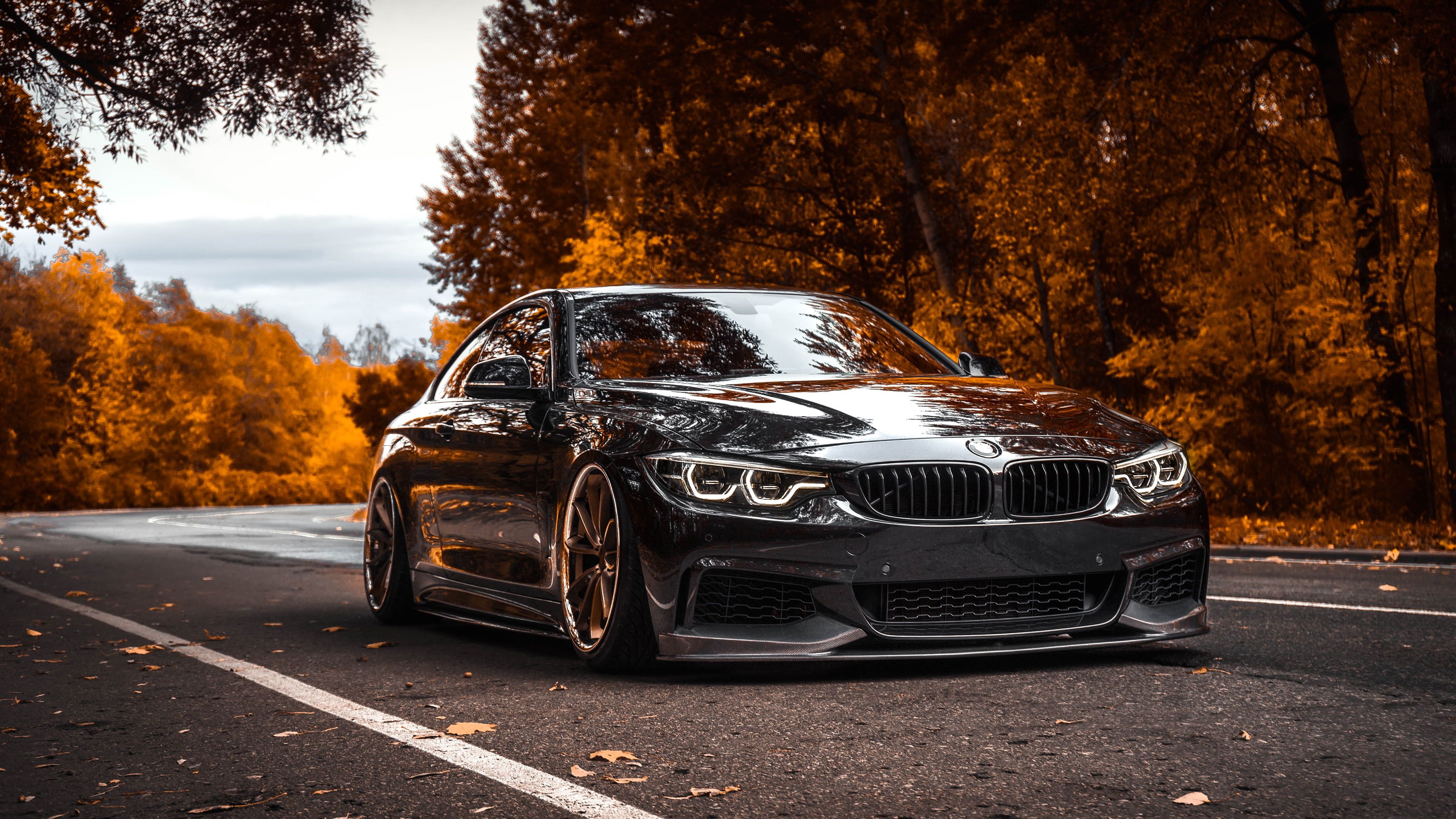 BMW Vinili